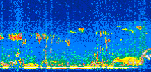 /calipso-imagery/data/BROWSE/production/V5-00/2015-06-01/2015-06-01_07-03-50_V5.00_2_thmb.png image missing