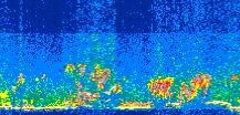 /calipso-imagery/data/BROWSE/production/V5-00/2015-06-01/2015-06-01_12-00-30_V5.00_3_thmb.png image missing