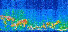 /calipso-imagery/data/BROWSE/production/V5-00/2015-06-03/2015-06-03_03-33-46_V5.00_3_thmb.png image missing