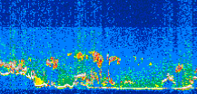 /calipso-imagery/data/BROWSE/production/V5-00/2015-06-03/2015-06-03_06-51-36_V5.00_3_thmb.png image missing