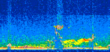 /calipso-imagery/data/BROWSE/production/V5-00/2015-06-03/2015-06-03_15-06-02_V5.00_2_thmb.png image missing