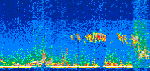 /calipso-imagery/data/BROWSE/production/V5-00/2015-06-04/2015-06-04_04-17-04_V5.00_2_thmb.png image missing