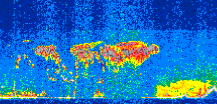 /calipso-imagery/data/BROWSE/production/V5-00/2015-06-04/2015-06-04_09-13-45_V5.00_2_thmb.png image missing
