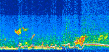 /calipso-imagery/data/BROWSE/production/V5-00/2015-06-04/2015-06-04_14-10-25_V5.00_3_thmb.png image missing