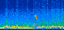 /calipso-imagery/data/BROWSE/production/V5-00/2015-06-04/2015-06-04_22-24-51_V5.00_2_thmb.png image missing
