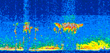 /calipso-imagery/data/BROWSE/production/V5-00/2015-06-06/2015-06-06_09-01-31_V5.00_2_thmb.png image missing
