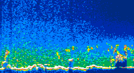 /calipso-imagery/data/BROWSE/production/V5-00/2015-06-06/2015-06-06_09-01-31_V5.00_4_thmb.png image missing