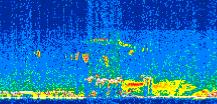 /calipso-imagery/data/BROWSE/production/V5-00/2015-06-06/2015-06-06_13-58-12_V5.00_2_thmb.png image missing