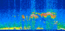 /calipso-imagery/data/BROWSE/production/V5-00/2015-06-06/2015-06-06_20-33-43_V5.00_2_thmb.png image missing