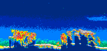 /calipso-imagery/data/BROWSE/production/V5-00/2015-06-06/2015-06-06_23-04-58_V5.00_3_thmb.png image missing
