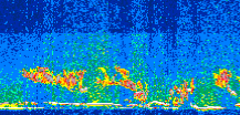 /calipso-imagery/data/BROWSE/production/V5-00/2015-06-06/2015-06-06_23-51-28_V5.00_3_thmb.png image missing