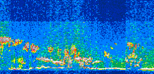 /calipso-imagery/data/BROWSE/production/V5-00/2015-06-07/2015-06-07_04-48-09_V5.00_3_thmb.png image missing