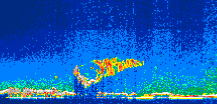 /calipso-imagery/data/BROWSE/production/V5-00/2015-06-07/2015-06-07_13-02-35_V5.00_1_thmb.png image missing