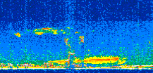 /calipso-imagery/data/BROWSE/production/V5-00/2015-06-07/2015-06-07_14-41-25_V5.00_2_thmb.png image missing