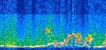 /calipso-imagery/data/BROWSE/production/V5-00/2015-06-07/2015-06-07_21-17-01_V5.00_3_thmb.png image missing