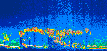 /calipso-imagery/data/BROWSE/production/V5-00/2015-06-07/2015-06-07_22-55-56_V5.00_1_thmb.png image missing