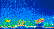 /calipso-imagery/data/BROWSE/production/V5-00/2015-06-08/2015-06-08_07-10-17_V5.00_4_thmb.png image missing