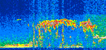 /calipso-imagery/data/BROWSE/production/V5-00/2015-06-13/2015-06-13_05-50-08_V5.00_2_thmb.png image missing