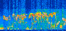 /calipso-imagery/data/BROWSE/production/V5-00/2015-06-13/2015-06-13_07-28-58_V5.00_2_thmb.png image missing