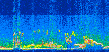 /calipso-imagery/data/BROWSE/production/V5-00/2015-06-13/2015-06-13_10-46-48_V5.00_3_thmb.png image missing
