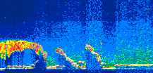 /calipso-imagery/data/BROWSE/production/V5-00/2015-06-13/2015-06-13_14-04-34_V5.00_1_thmb.png image missing