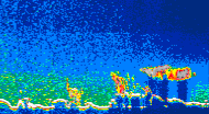 /calipso-imagery/data/BROWSE/production/V5-00/2015-06-13/2015-06-13_14-04-34_V5.00_4_thmb.png image missing