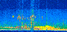 /calipso-imagery/data/BROWSE/production/V5-00/2015-06-13/2015-06-13_17-22-19_V5.00_2_thmb.png image missing