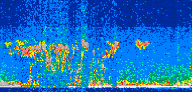 /calipso-imagery/data/BROWSE/production/V5-00/2015-06-14/2015-06-14_03-15-36_V5.00_2_thmb.png image missing