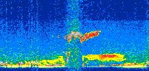 /calipso-imagery/data/BROWSE/production/V5-00/2015-06-14/2015-06-14_14-47-47_V5.00_2_thmb.png image missing