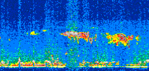 /calipso-imagery/data/BROWSE/production/V5-00/2015-06-14/2015-06-14_23-02-13_V5.00_2_thmb.png image missing