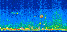 /calipso-imagery/data/BROWSE/production/V5-00/2015-06-29/2015-06-29_22-18-46_V5.00_2_thmb.png image missing