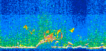/calipso-imagery/data/BROWSE/production/V5-00/2015-07-01/2015-07-01_00-40-53_V5.00_3_thmb.png image missing