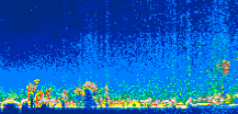 /calipso-imagery/data/BROWSE/production/V5-00/2015-07-01/2015-07-01_17-09-40_V5.00_1_thmb.png image missing