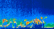 /calipso-imagery/data/BROWSE/production/V5-00/2015-07-03/2015-07-03_00-28-24_V5.00_4_thmb.png image missing