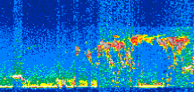 /calipso-imagery/data/BROWSE/production/V5-00/2015-07-03/2015-07-03_05-25-00_V5.00_2_thmb.png image missing