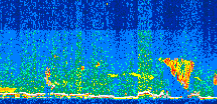 /calipso-imagery/data/BROWSE/production/V5-00/2015-07-03/2015-07-03_15-18-21_V5.00_3_thmb.png image missing
