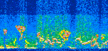 /calipso-imagery/data/BROWSE/production/V5-00/2015-07-03/2015-07-03_16-57-11_V5.00_3_thmb.png image missing