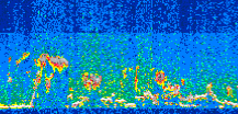 /calipso-imagery/data/BROWSE/production/V5-00/2015-07-04/2015-07-04_02-50-28_V5.00_3_thmb.png image missing