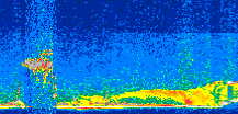 /calipso-imagery/data/BROWSE/production/V5-00/2015-07-04/2015-07-04_09-25-59_V5.00_2_thmb.png image missing