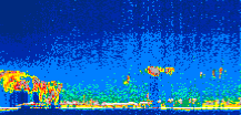 /calipso-imagery/data/BROWSE/production/V5-00/2015-07-04/2015-07-04_11-04-54_V5.00_1_thmb.png image missing