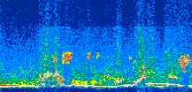 /calipso-imagery/data/BROWSE/production/V5-00/2015-07-04/2015-07-04_11-04-54_V5.00_3_thmb.png image missing
