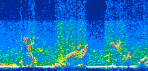/calipso-imagery/data/BROWSE/production/V5-00/2015-07-04/2015-07-04_16-01-29_V5.00_3_thmb.png image missing