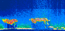 /calipso-imagery/data/BROWSE/production/V5-00/2015-07-04/2015-07-04_20-58-10_V5.00_1_thmb.png image missing