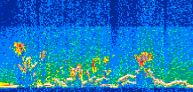 /calipso-imagery/data/BROWSE/production/V5-00/2015-07-06/2015-07-06_02-37-59_V5.00_3_thmb.png image missing