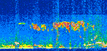 /calipso-imagery/data/BROWSE/production/V5-00/2015-07-06/2015-07-06_05-55-45_V5.00_2_thmb.png image missing