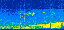 /calipso-imagery/data/BROWSE/production/V5-00/2015-07-06/2015-07-06_09-13-35_V5.00_2_thmb.png image missing