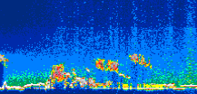 /calipso-imagery/data/BROWSE/production/V5-00/2015-07-06/2015-07-06_19-06-51_V5.00_1_thmb.png image missing