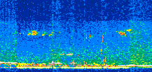 /calipso-imagery/data/BROWSE/production/V5-00/2015-07-06/2015-07-06_20-45-42_V5.00_2_thmb.png image missing