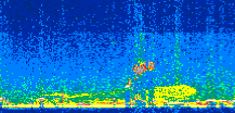/calipso-imagery/data/BROWSE/production/V5-00/2015-07-07/2015-07-07_14-53-24_V5.00_2_thmb.png image missing