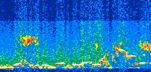 /calipso-imagery/data/BROWSE/production/V5-00/2015-07-07/2015-07-07_23-07-45_V5.00_3_thmb.png image missing